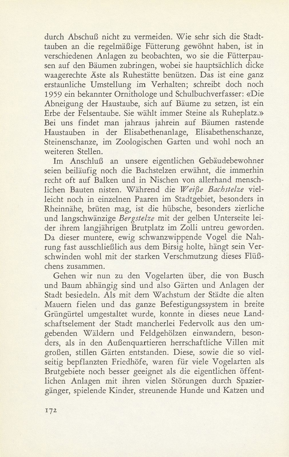 Unsere Stadtvögel im Wandel der Zeit – Seite 9