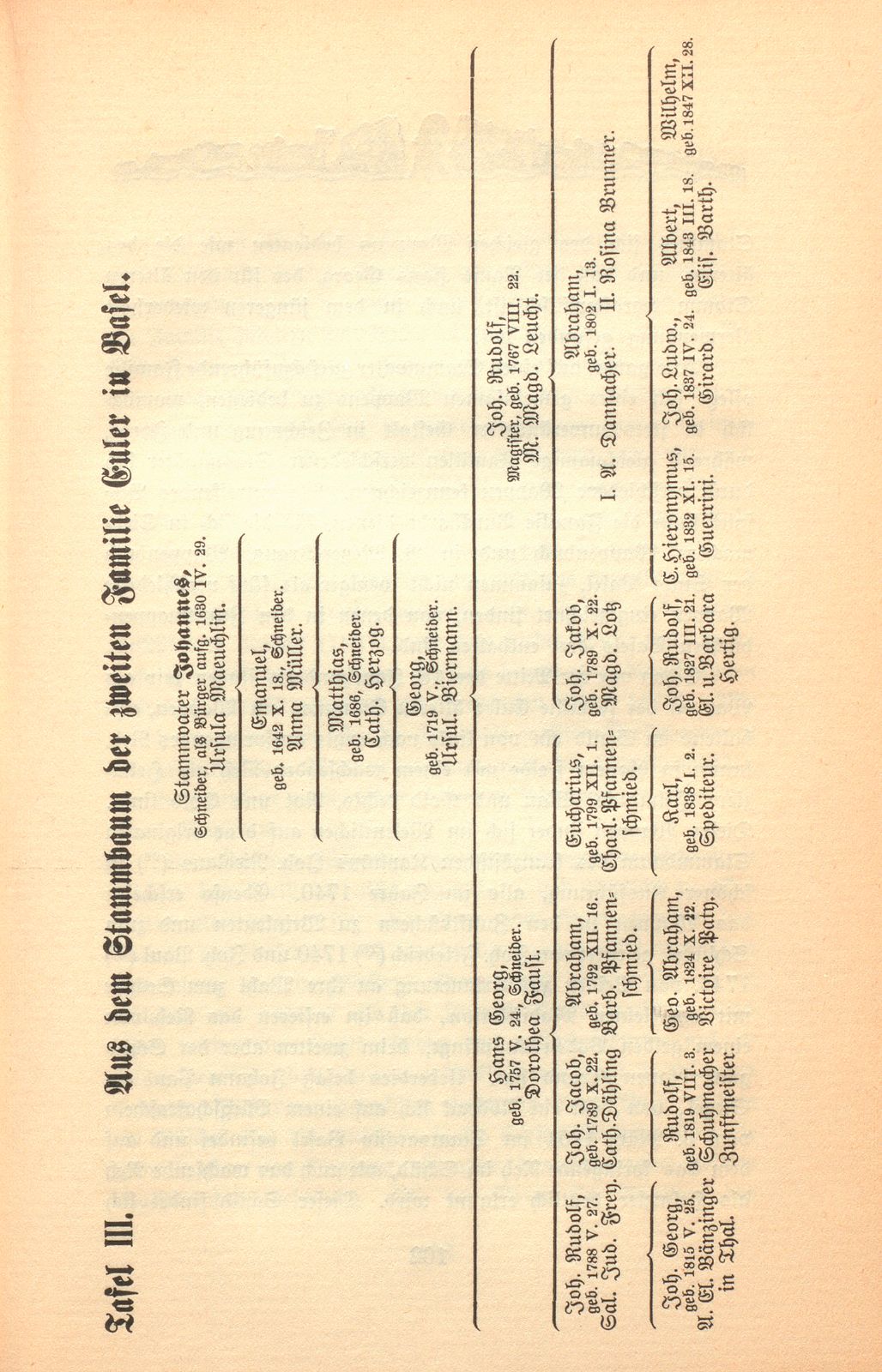 Zur Genealogie der Familie Euler in Basel – Seite 37