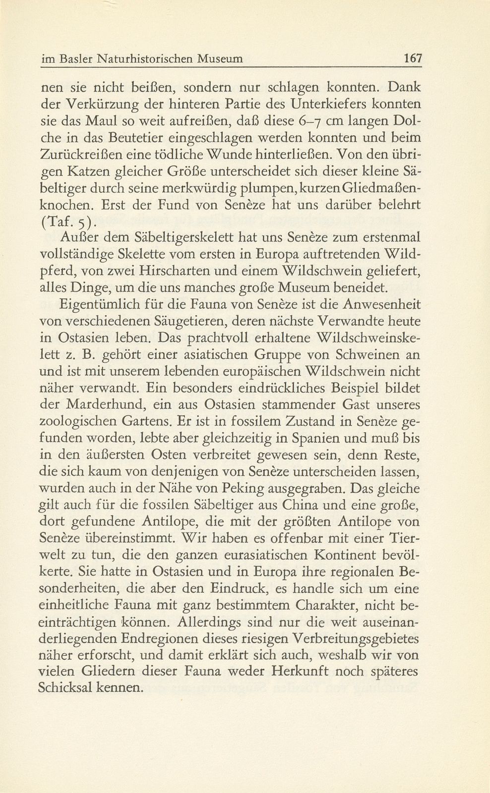 Die fossilen Säugetiere im Basler Naturhistorischen Museum – Seite 18