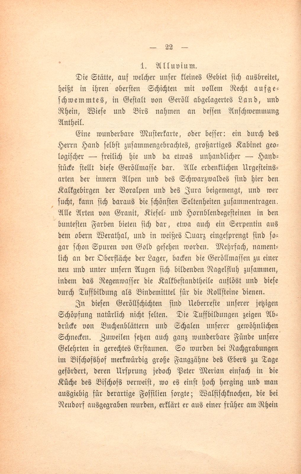 Basler Grund und Boden und was darauf wächst – Seite 3