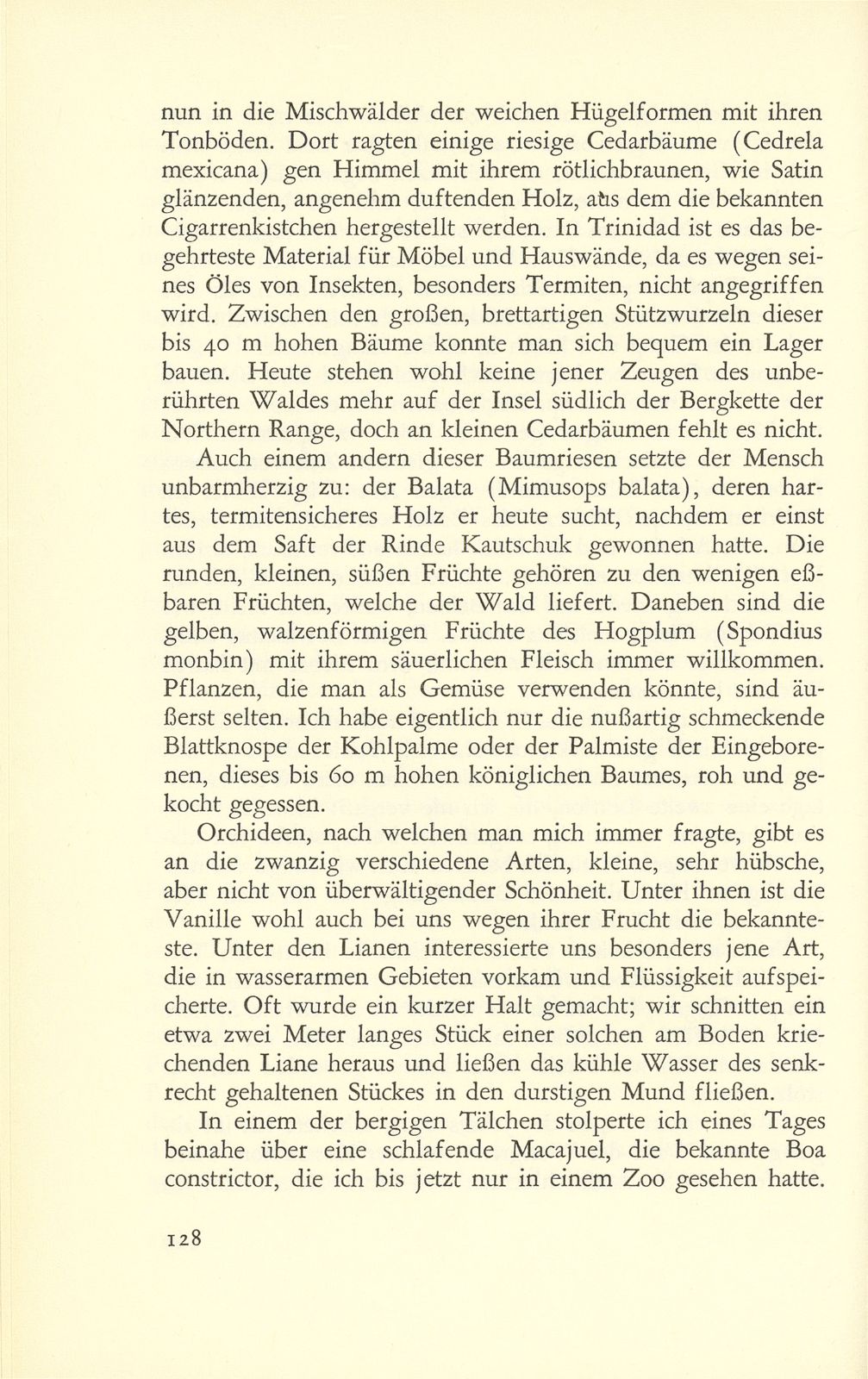 Erste Erlebnisse eines Basler Petroleumgeologen – Seite 20