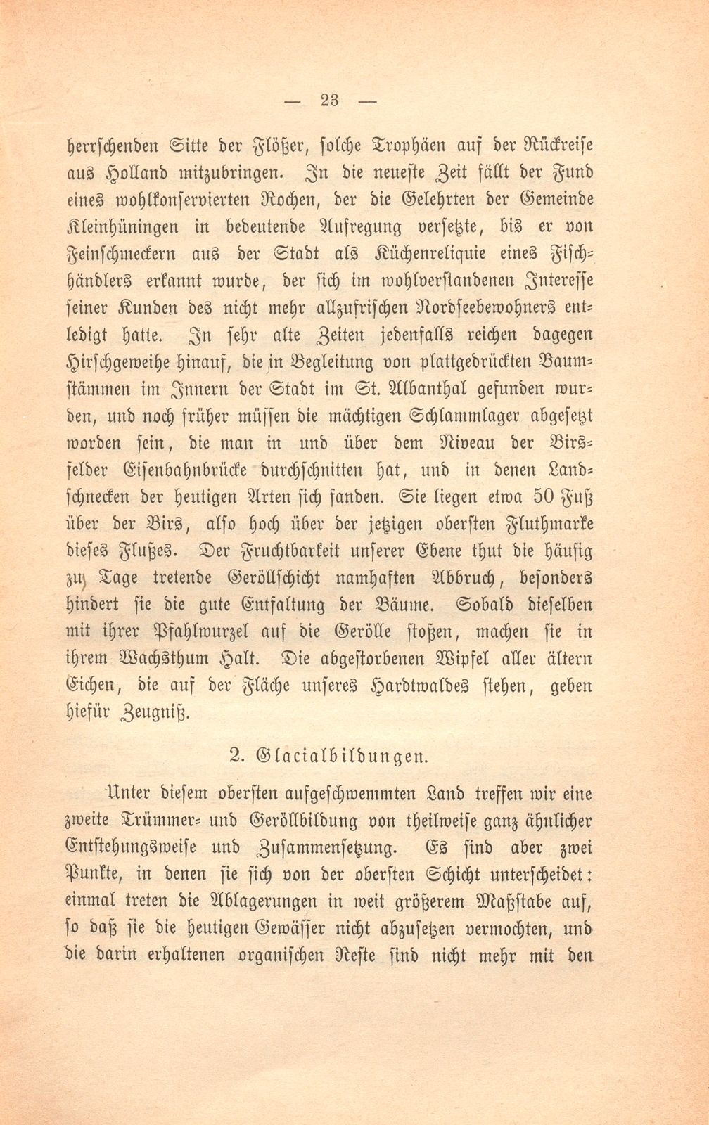 Basler Grund und Boden und was darauf wächst – Seite 4