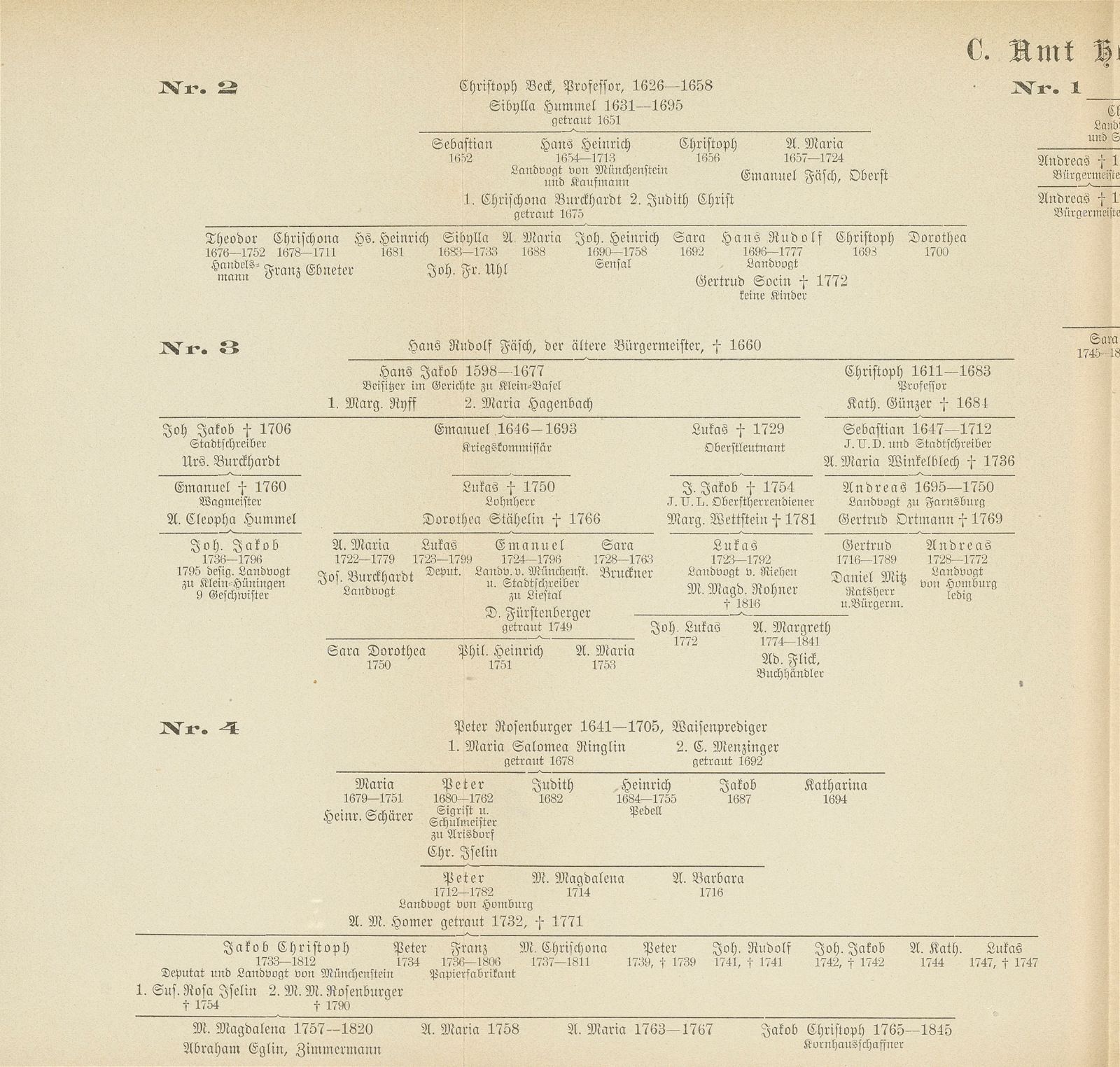 Stadt und Landschaft Basel in der zweiten Hälfte des 18. Jahrhunderts – Seite 51