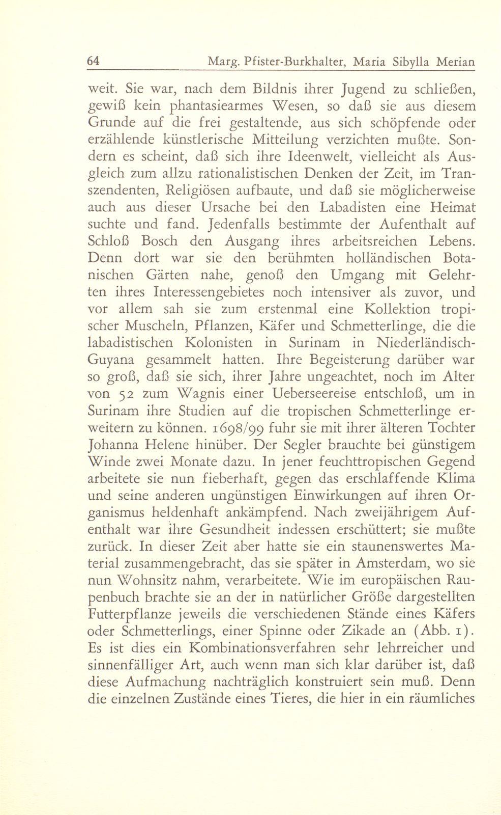 Maria Sibylla Merian zum Gedächtnis – Seite 10