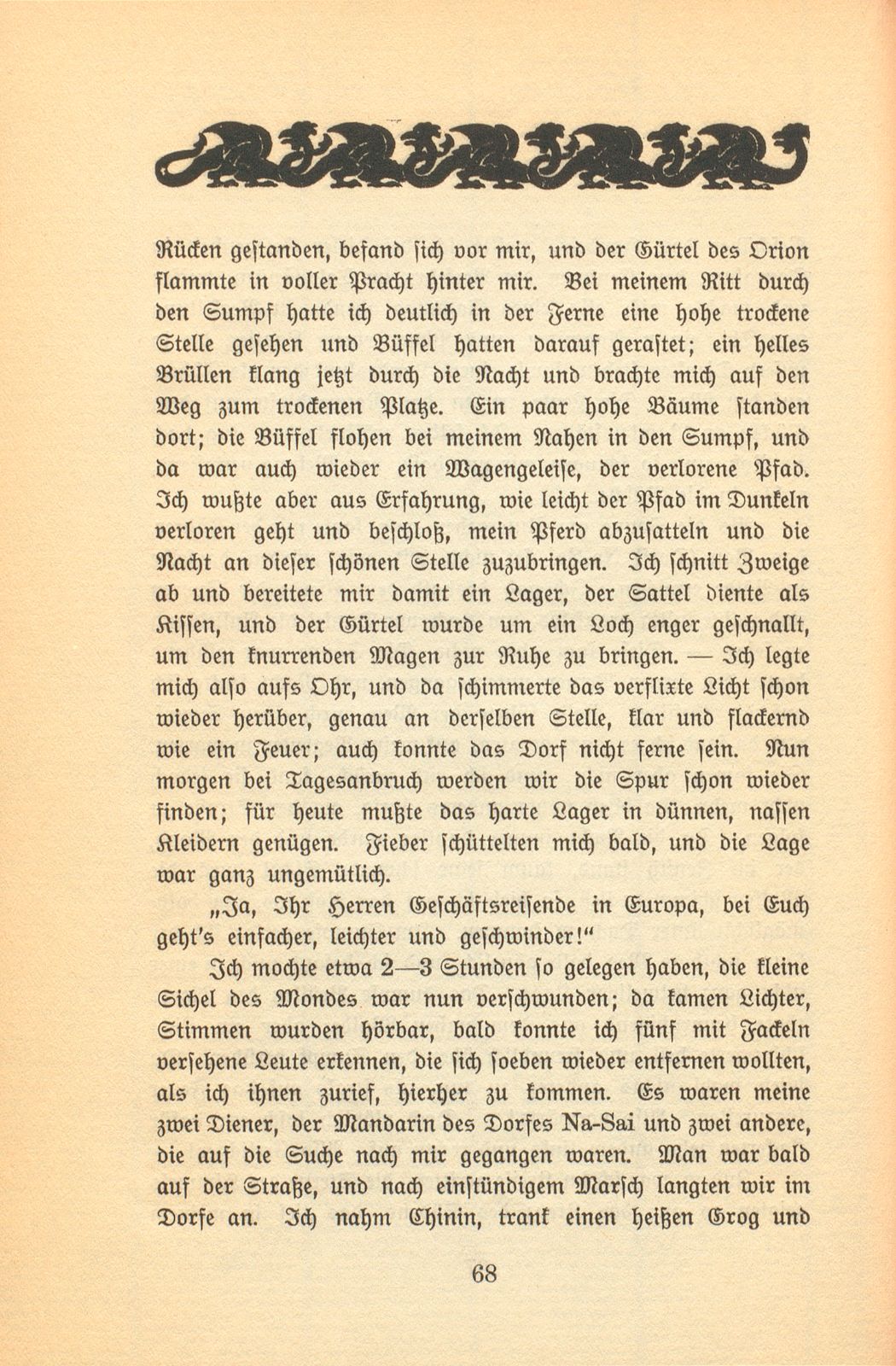 Erlebnisse eines Basler Kaufmanns in Laos (Indo-China) – Seite 20