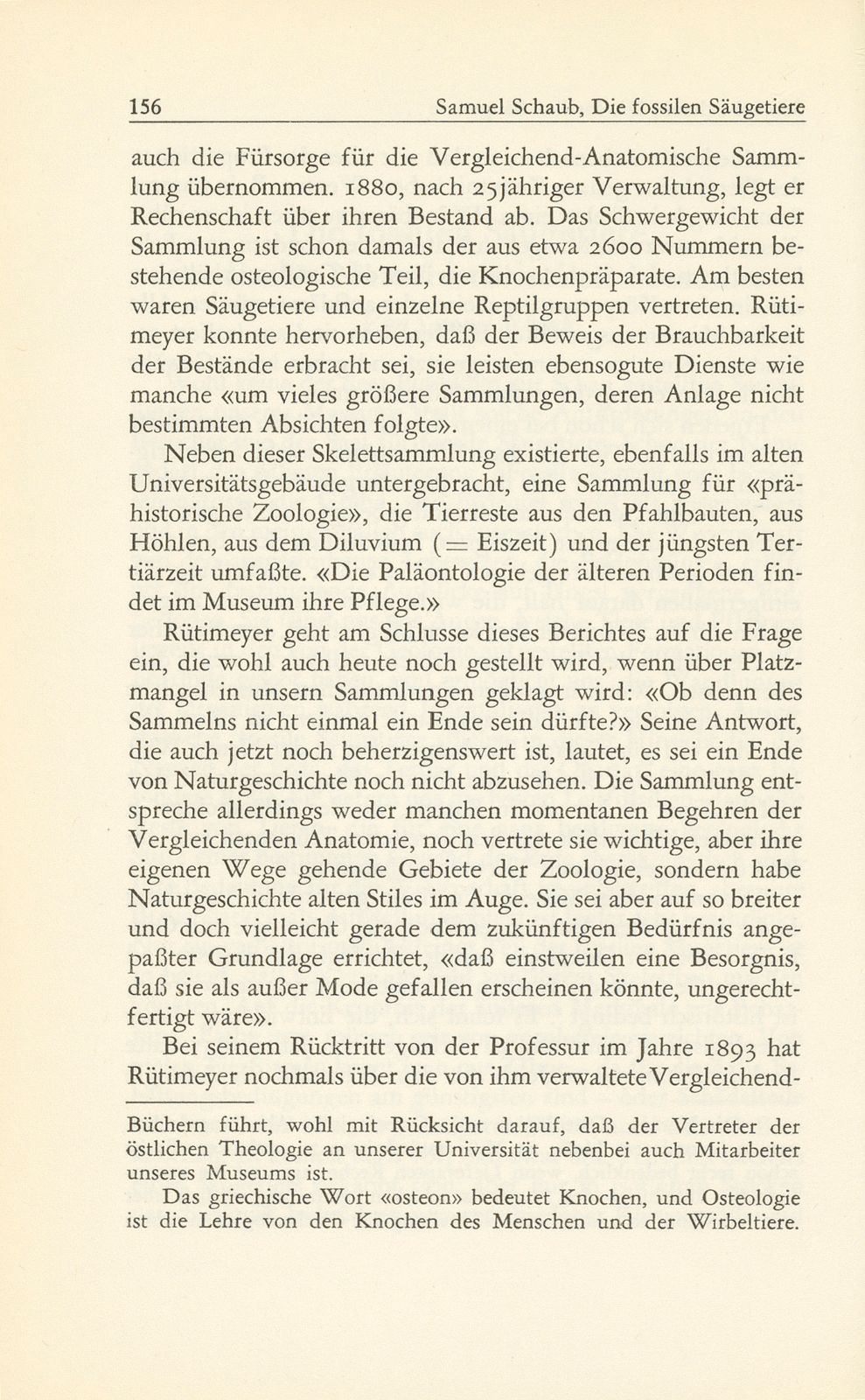 Die fossilen Säugetiere im Basler Naturhistorischen Museum – Seite 3