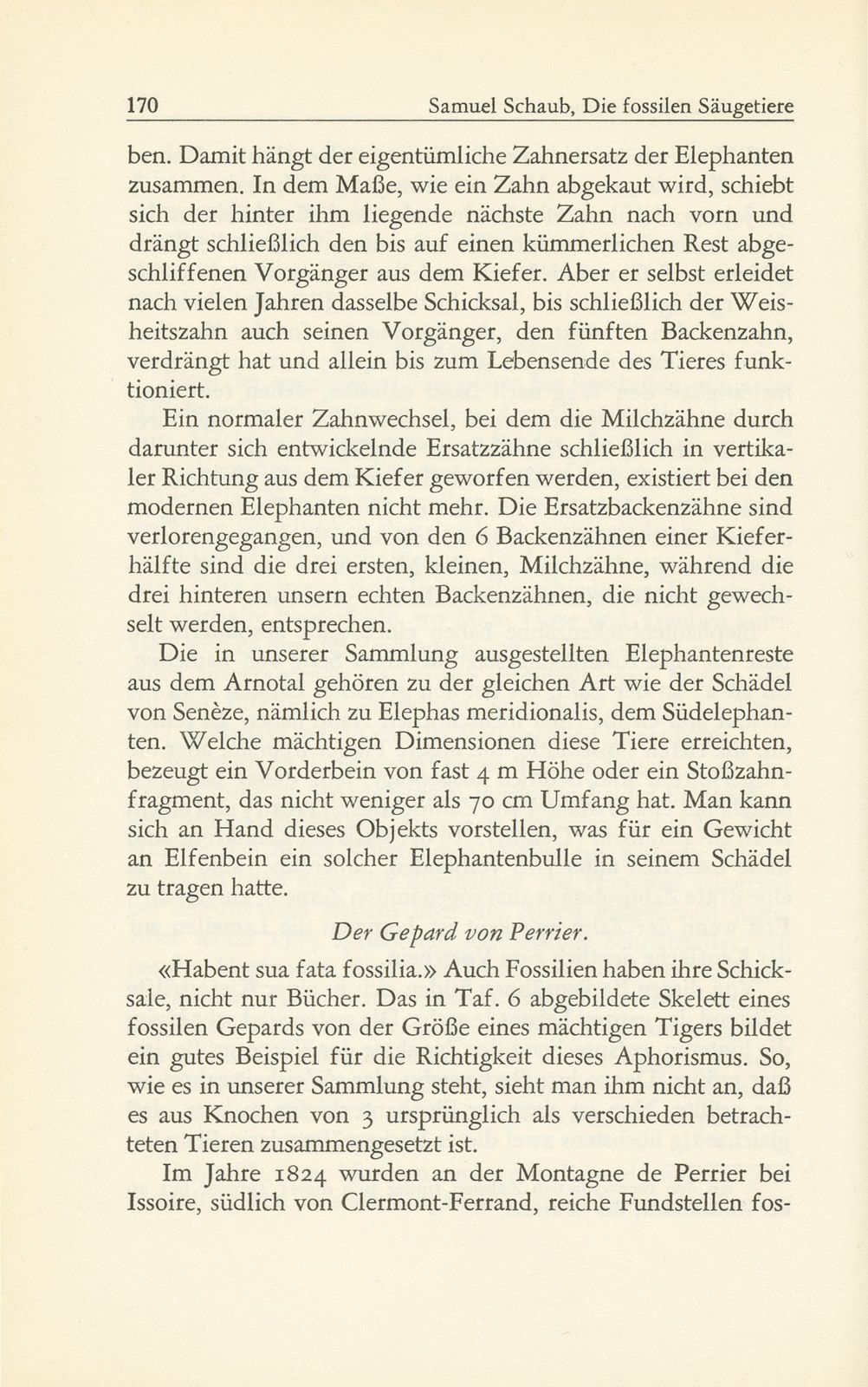 Die fossilen Säugetiere im Basler Naturhistorischen Museum – Seite 21