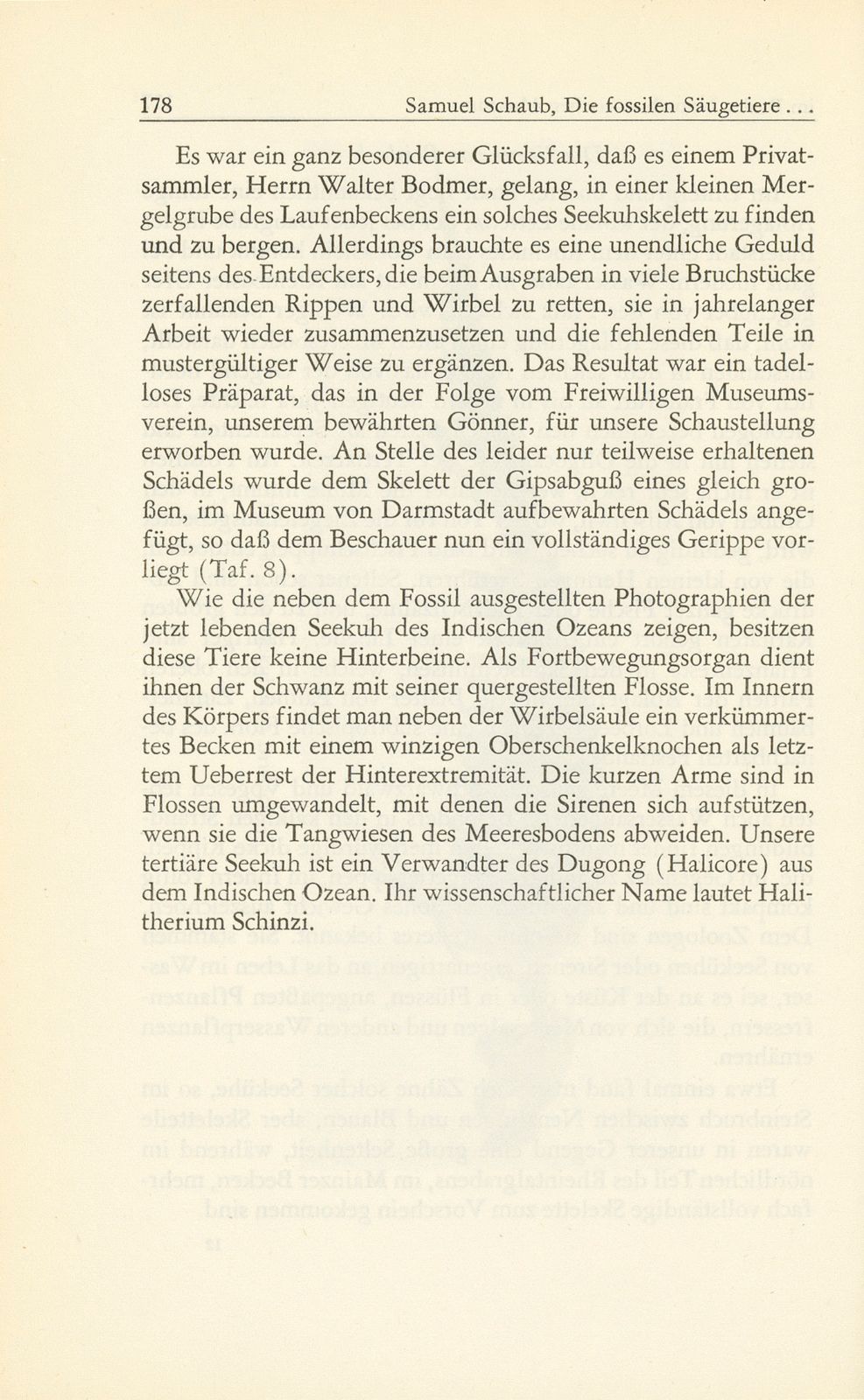 Die fossilen Säugetiere im Basler Naturhistorischen Museum – Seite 33