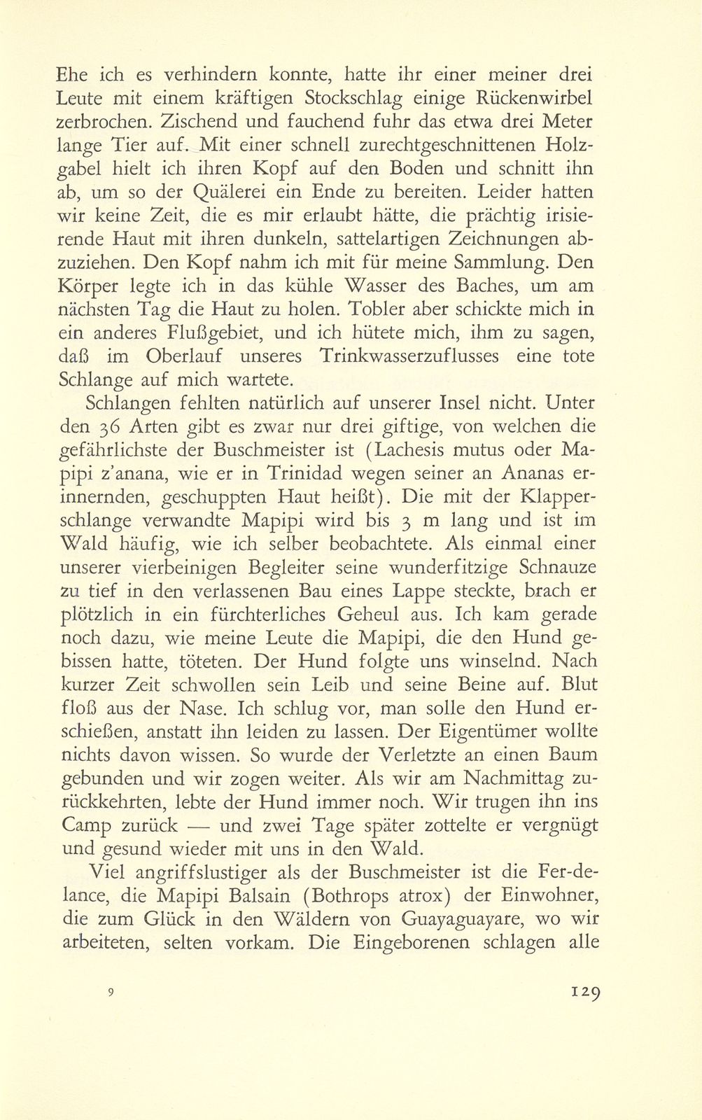 Erste Erlebnisse eines Basler Petroleumgeologen – Seite 21