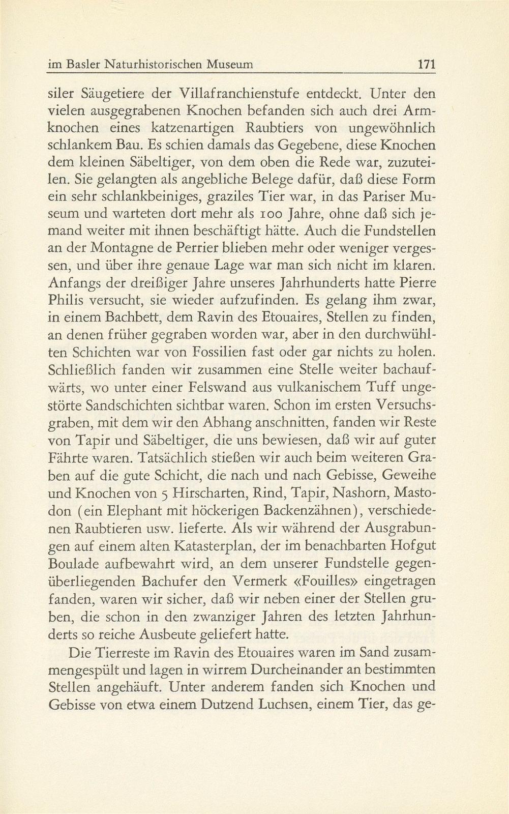 Die fossilen Säugetiere im Basler Naturhistorischen Museum – Seite 22