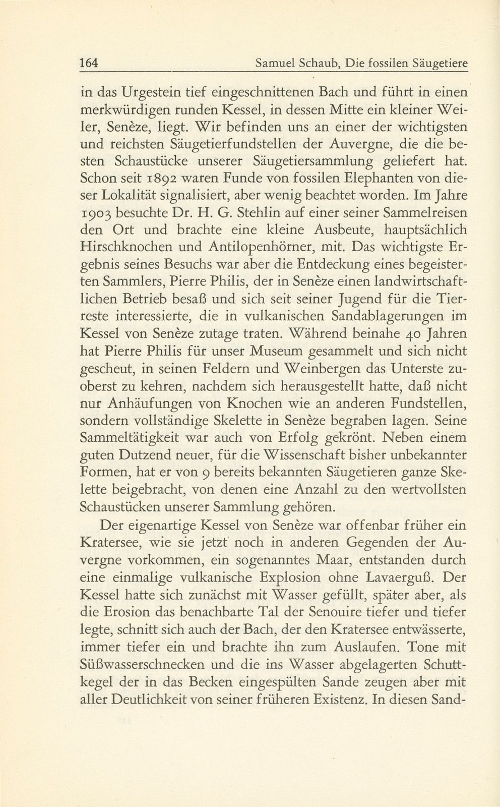 Die fossilen Säugetiere im Basler Naturhistorischen Museum – Seite 15