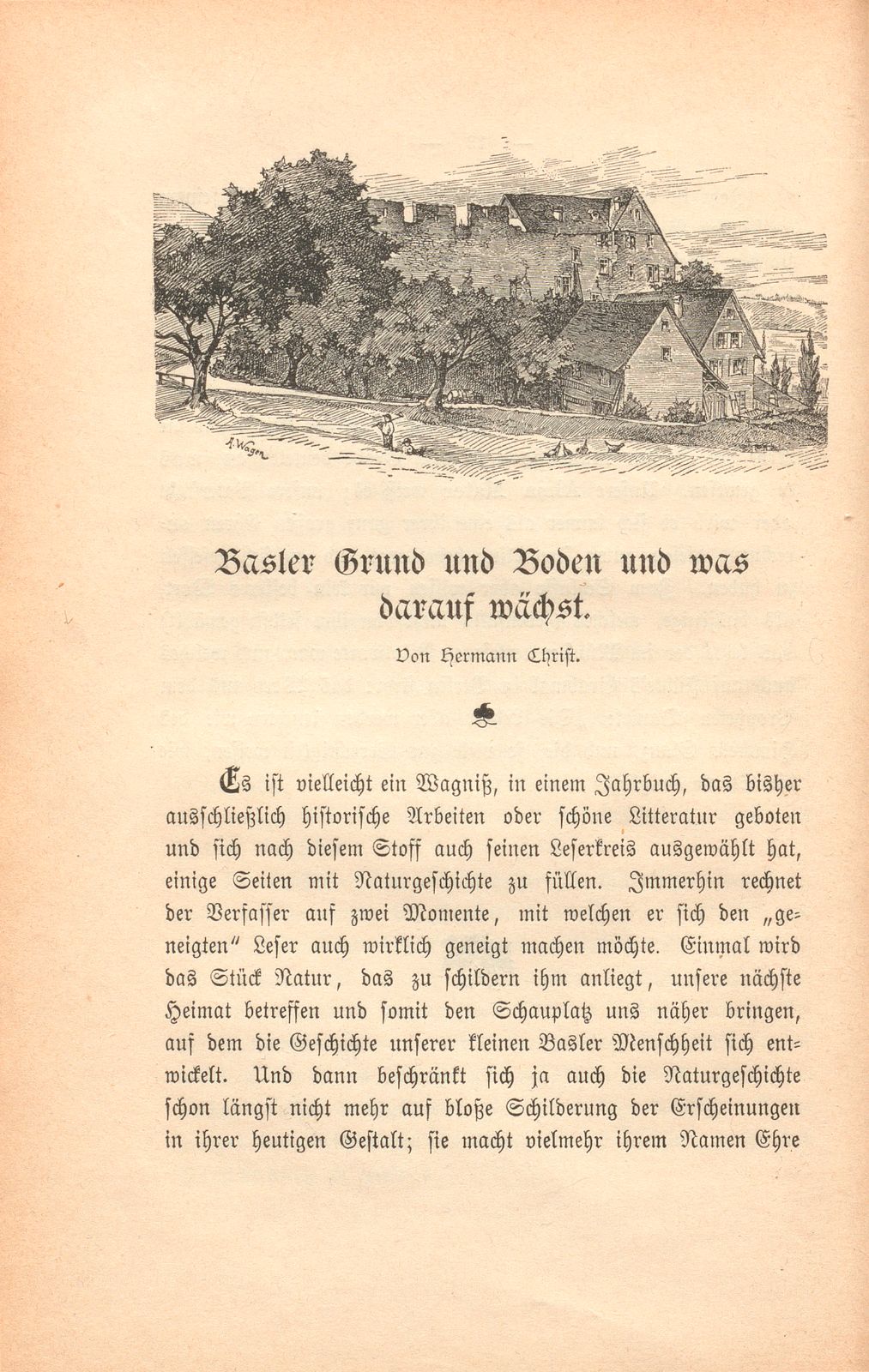 Basler Grund und Boden und was darauf wächst – Seite 1