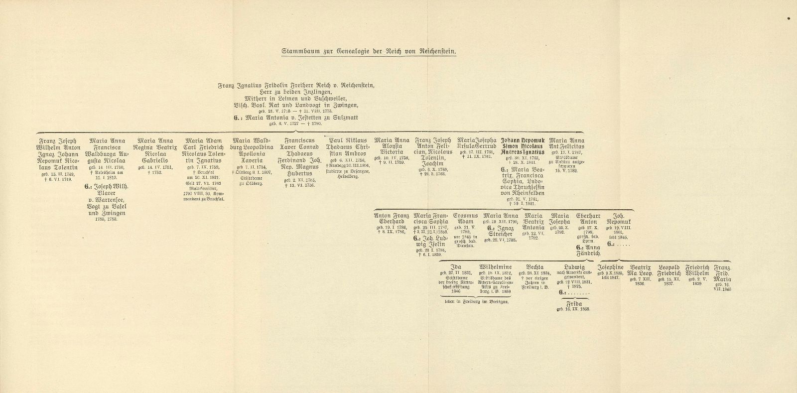 Zur Genealogie der Reich von Reichenstein – Seite 10