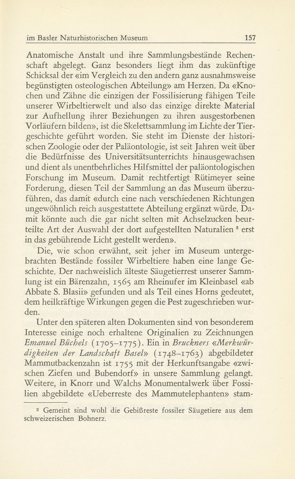 Die fossilen Säugetiere im Basler Naturhistorischen Museum – Seite 4