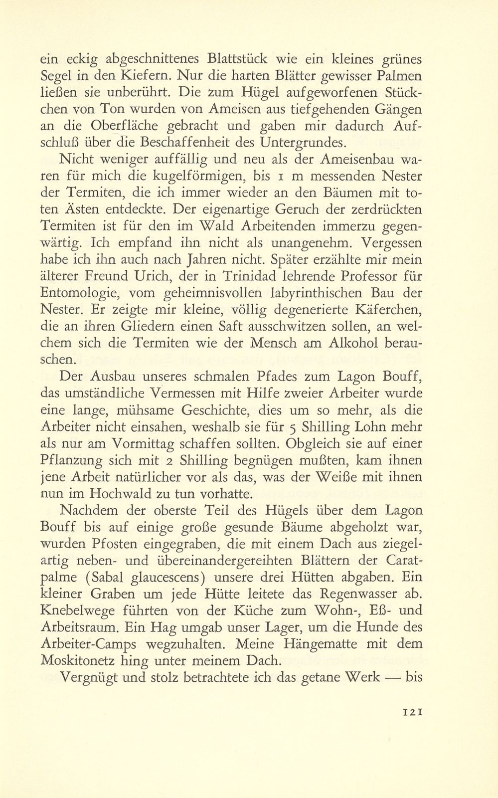 Erste Erlebnisse eines Basler Petroleumgeologen – Seite 13