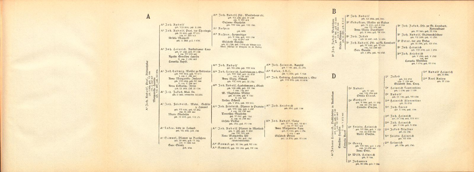 Johann Rudolf Wettstein's männliche Nachkommen in Basel – Seite 6