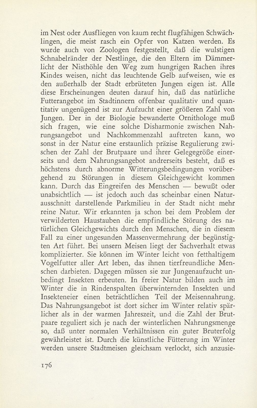 Unsere Stadtvögel im Wandel der Zeit – Seite 13