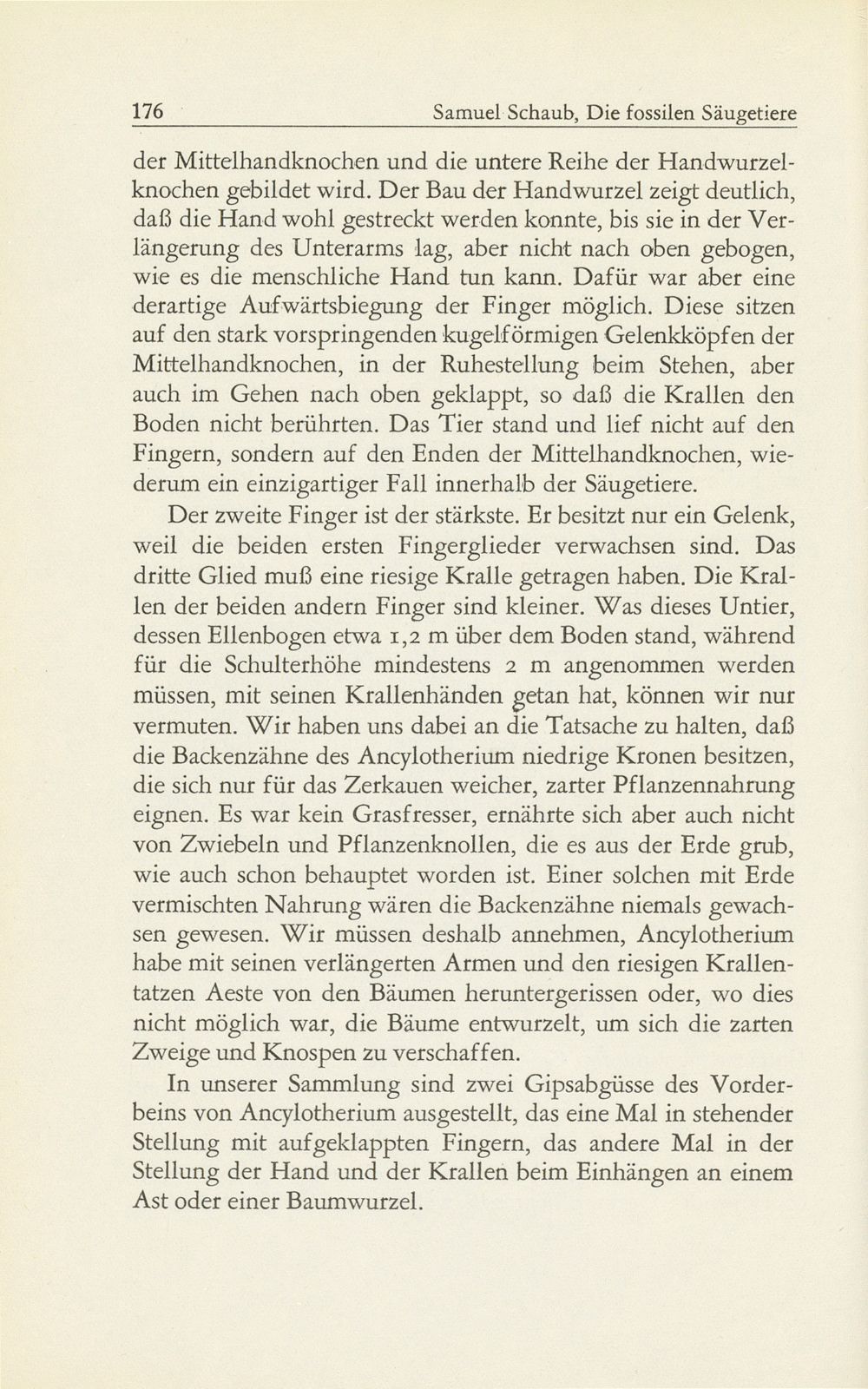 Die fossilen Säugetiere im Basler Naturhistorischen Museum – Seite 27