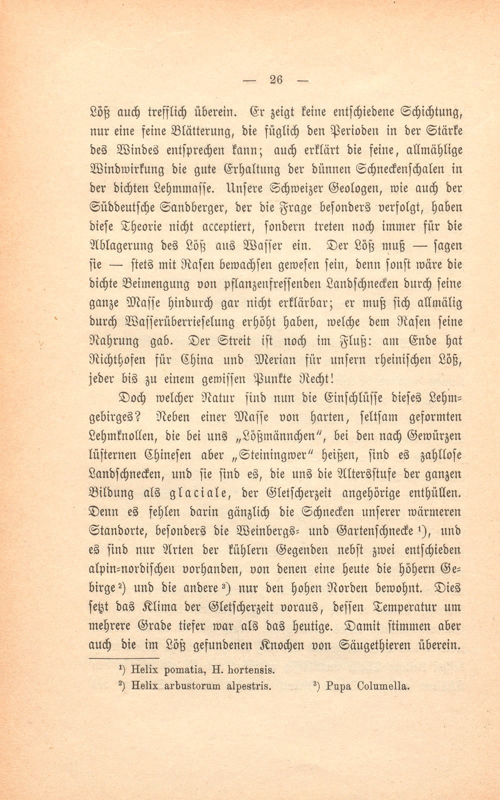 Basler Grund und Boden und was darauf wächst – Seite 7