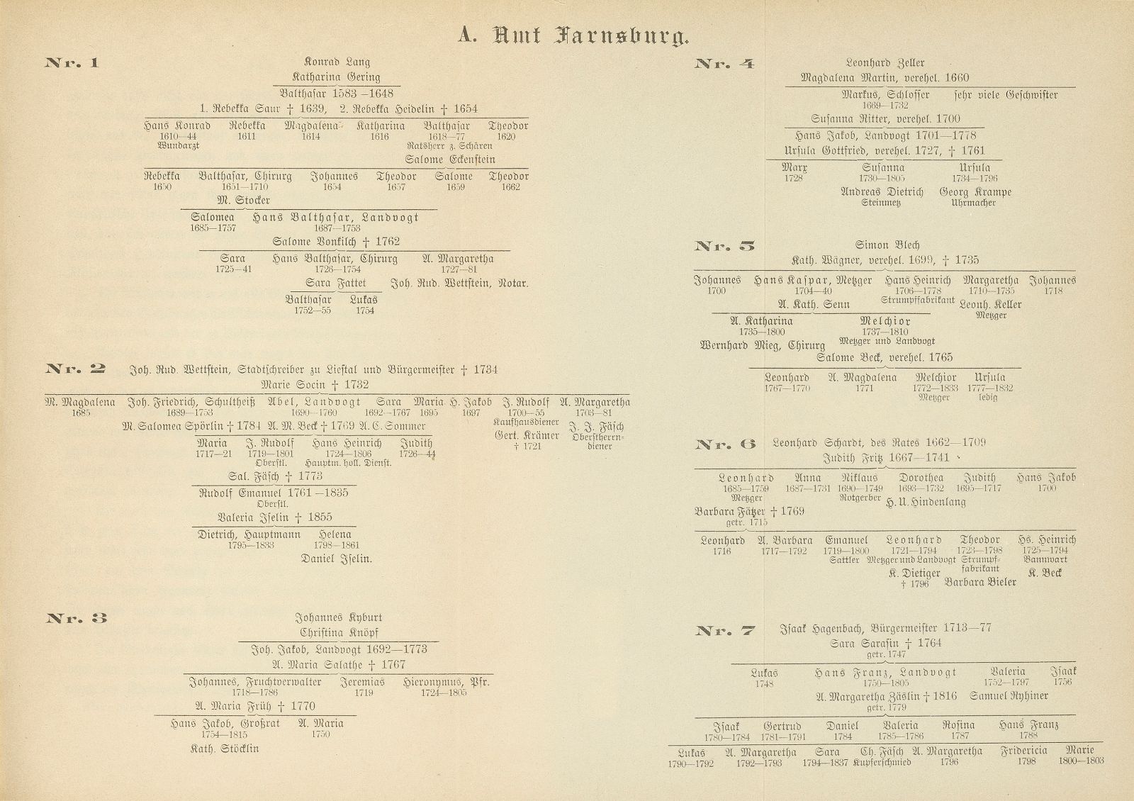 Stadt und Landschaft Basel in der zweiten Hälfte des 18. Jahrhunderts – Seite 12