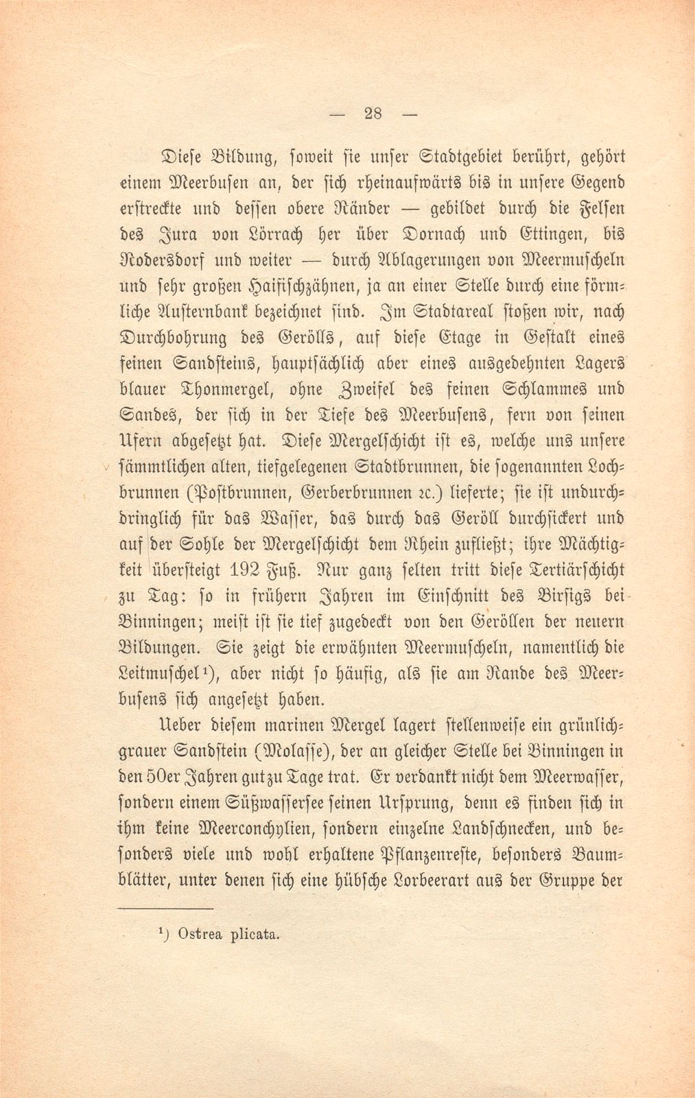 Basler Grund und Boden und was darauf wächst – Seite 9