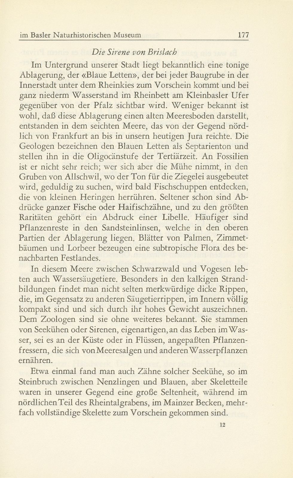 Die fossilen Säugetiere im Basler Naturhistorischen Museum – Seite 32