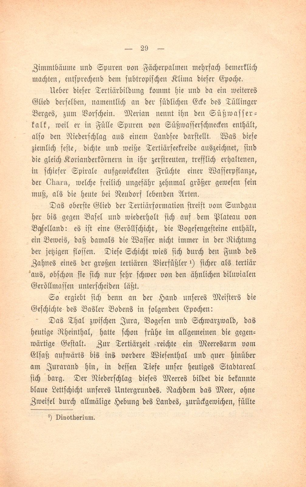 Basler Grund und Boden und was darauf wächst – Seite 10