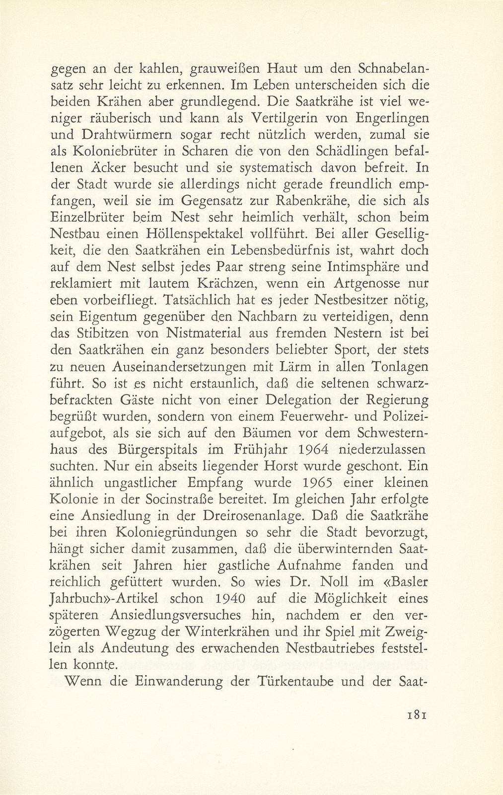 Unsere Stadtvögel im Wandel der Zeit – Seite 18