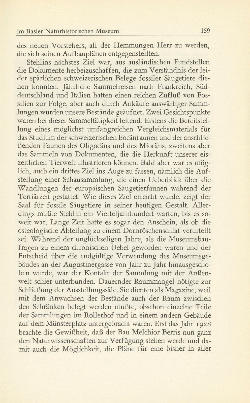 Die fossilen Säugetiere im Basler Naturhistorischen Museum – Seite 6