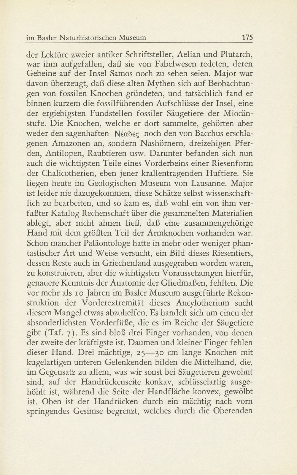 Die fossilen Säugetiere im Basler Naturhistorischen Museum – Seite 26