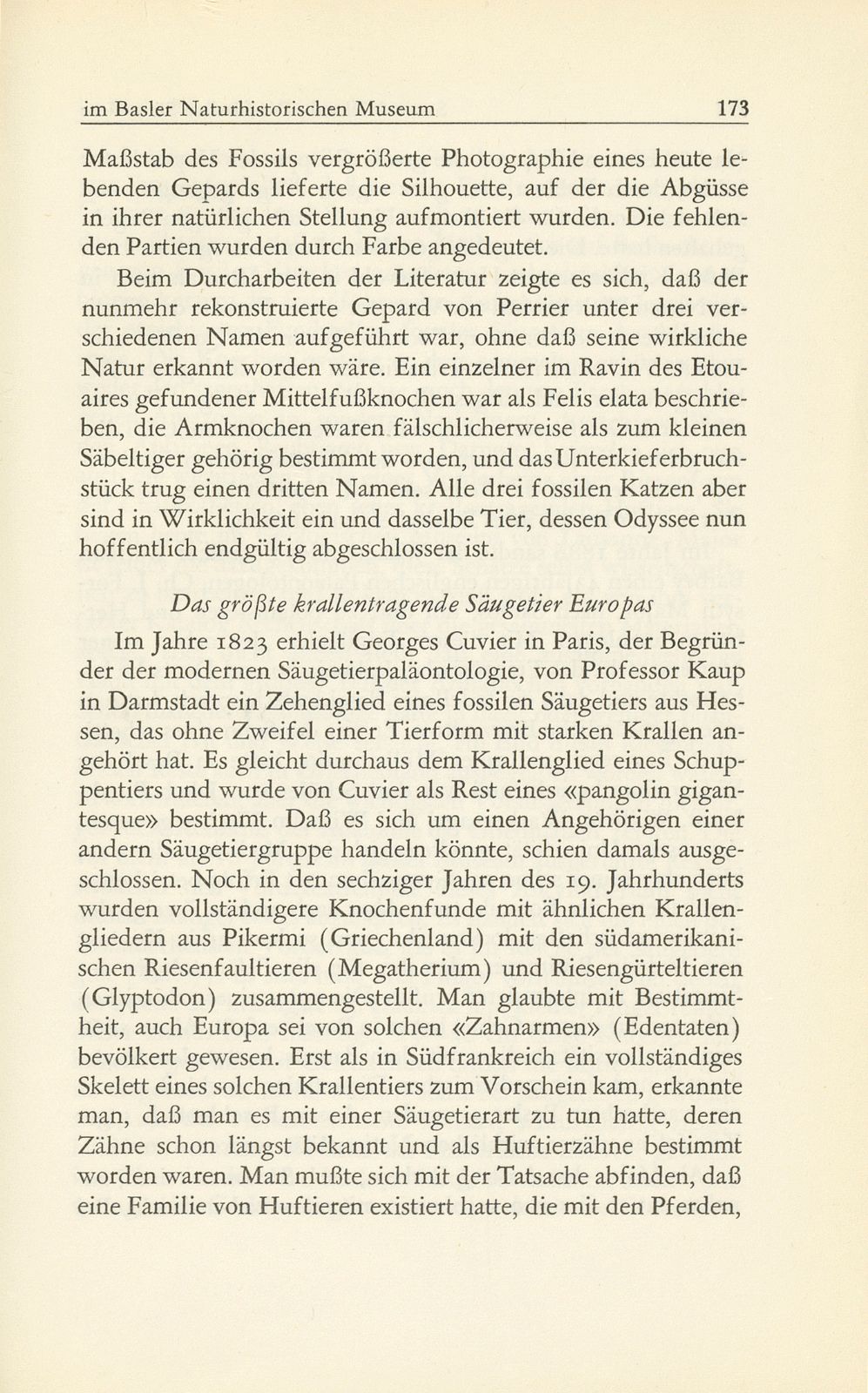 Die fossilen Säugetiere im Basler Naturhistorischen Museum – Seite 24