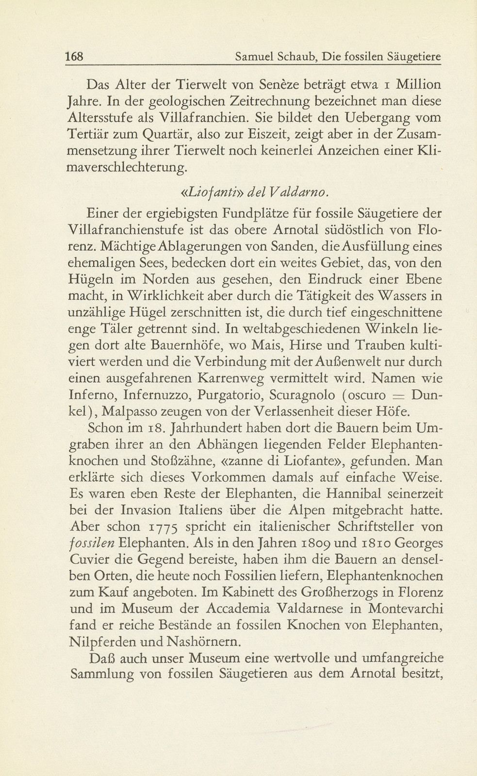 Die fossilen Säugetiere im Basler Naturhistorischen Museum – Seite 19