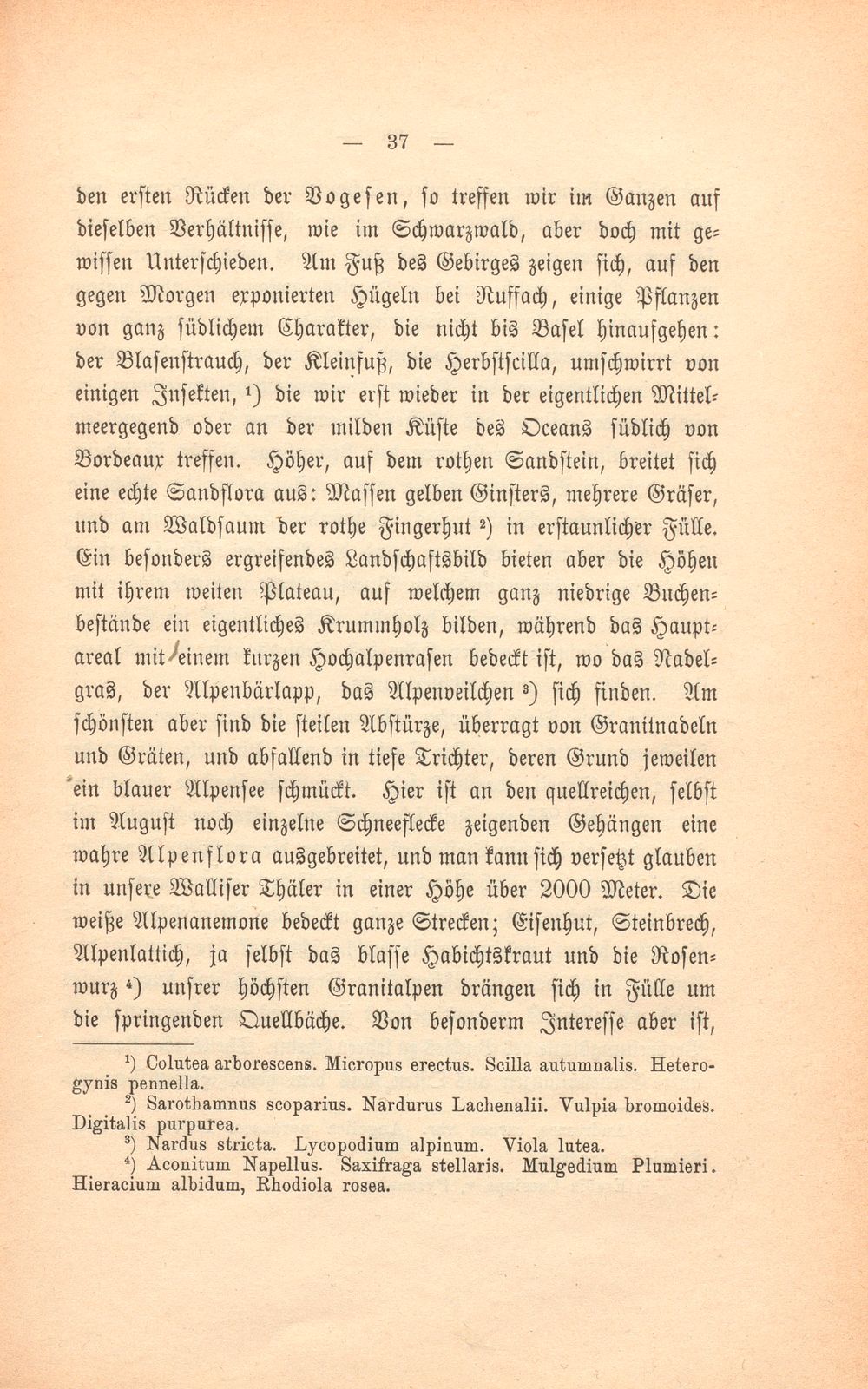 Basler Grund und Boden und was darauf wächst – Seite 18