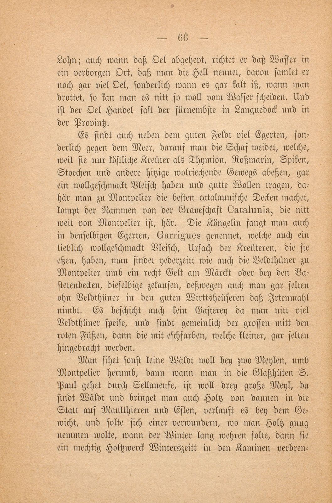 Beschreibung Thomä Platters Reyssen, die er von Basell auss in Franckreich gethan hatt anno 1595 – Seite 54