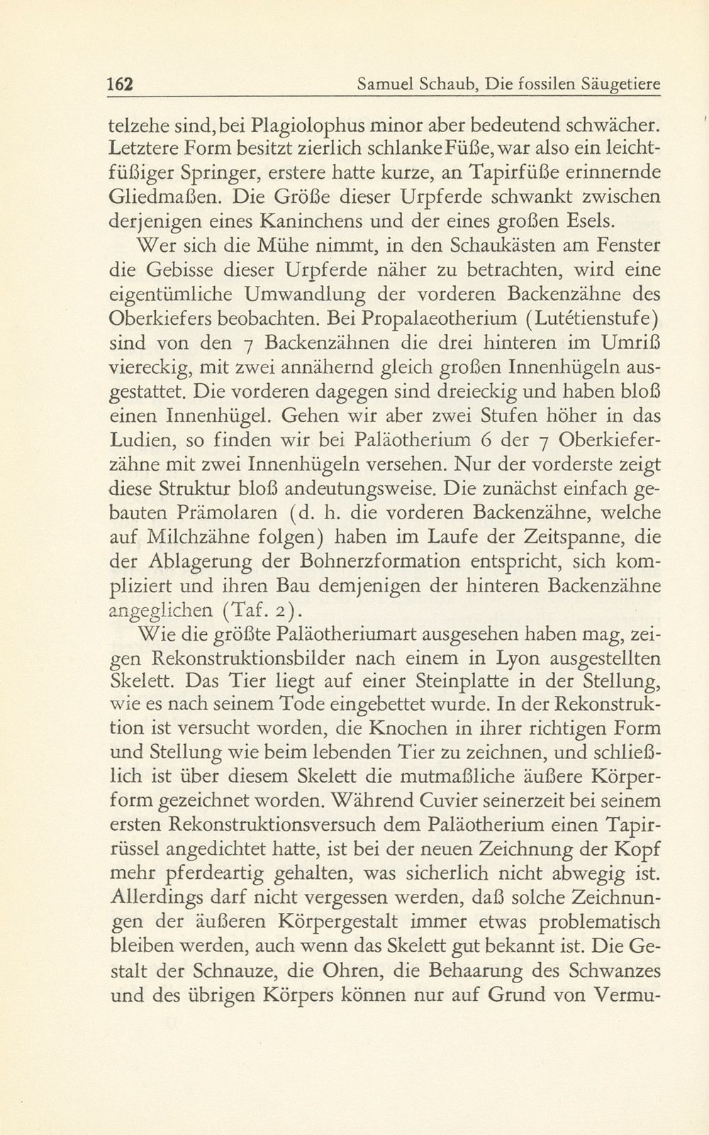 Die fossilen Säugetiere im Basler Naturhistorischen Museum – Seite 13