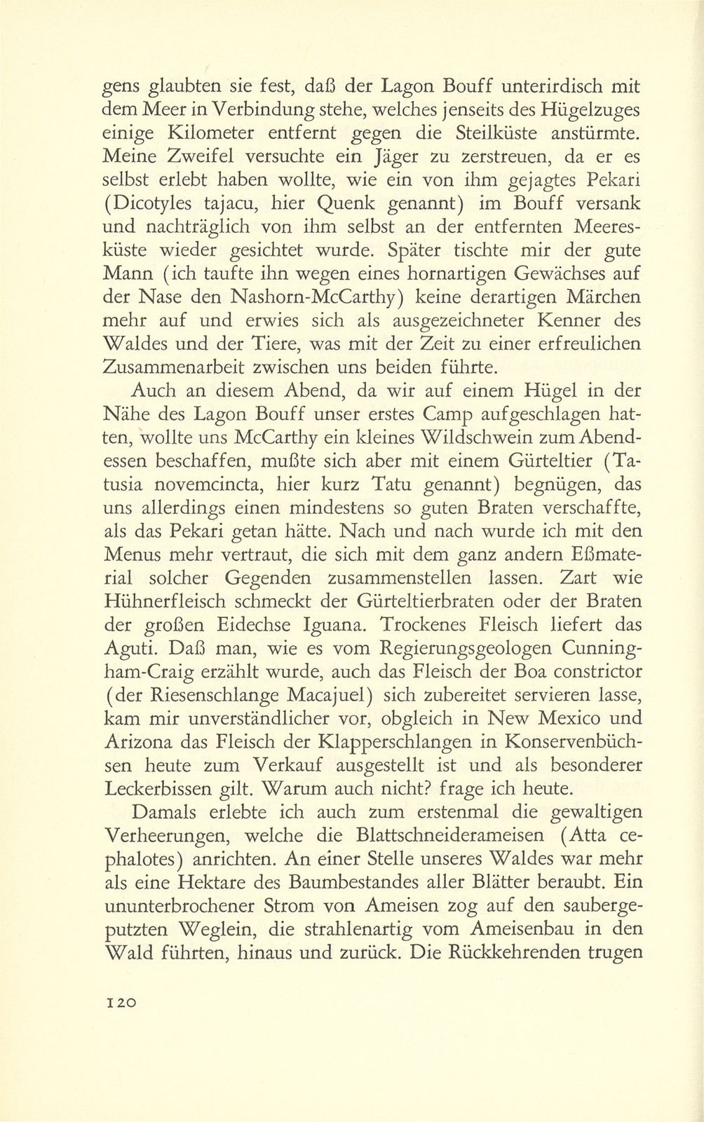 Erste Erlebnisse eines Basler Petroleumgeologen – Seite 12