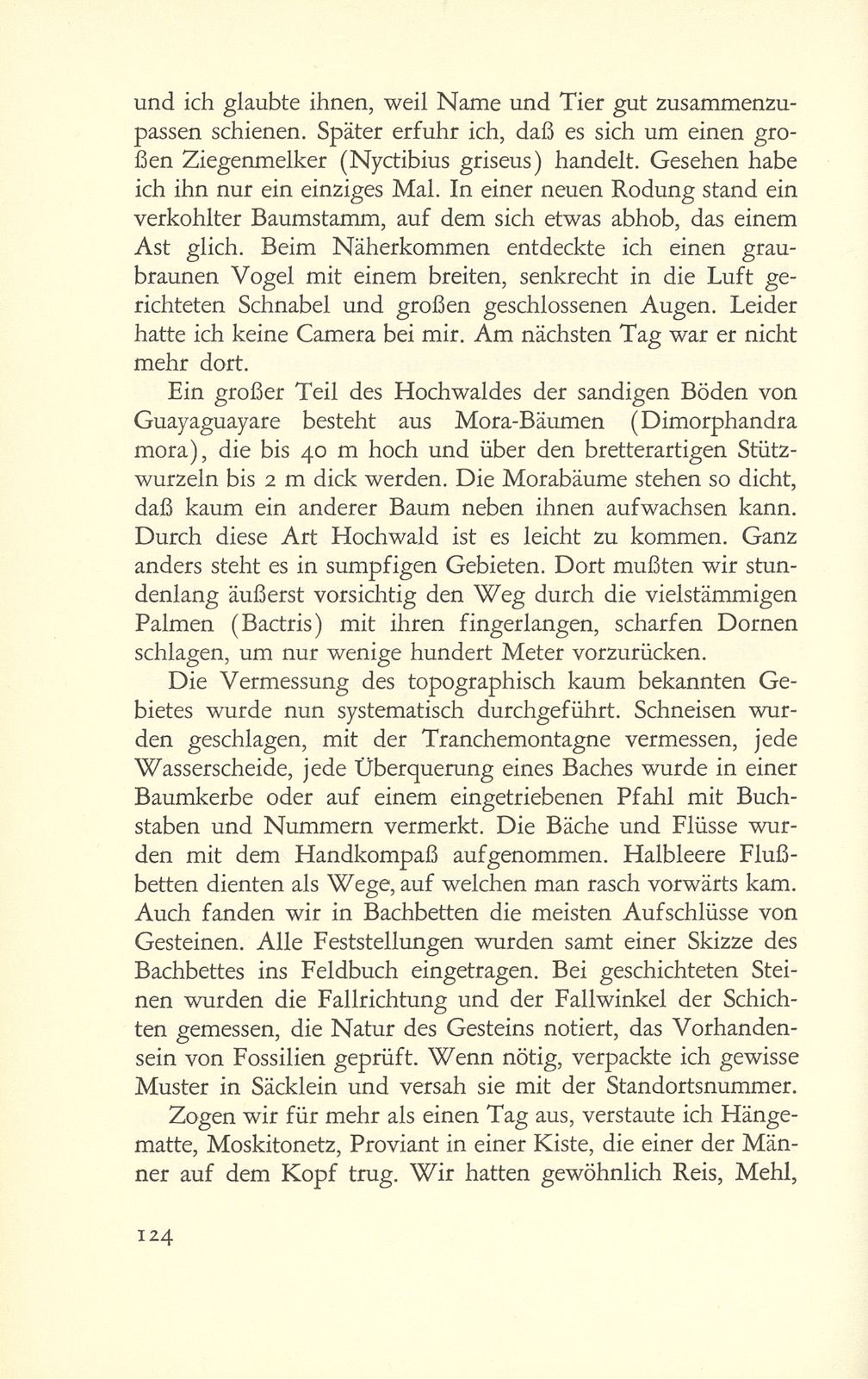 Erste Erlebnisse eines Basler Petroleumgeologen – Seite 16