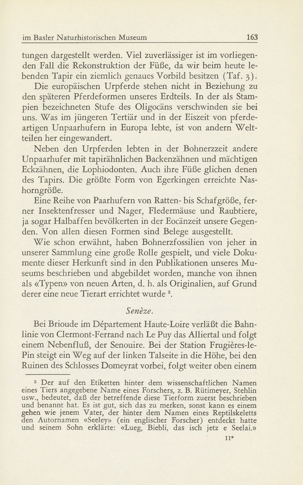 Die fossilen Säugetiere im Basler Naturhistorischen Museum – Seite 14