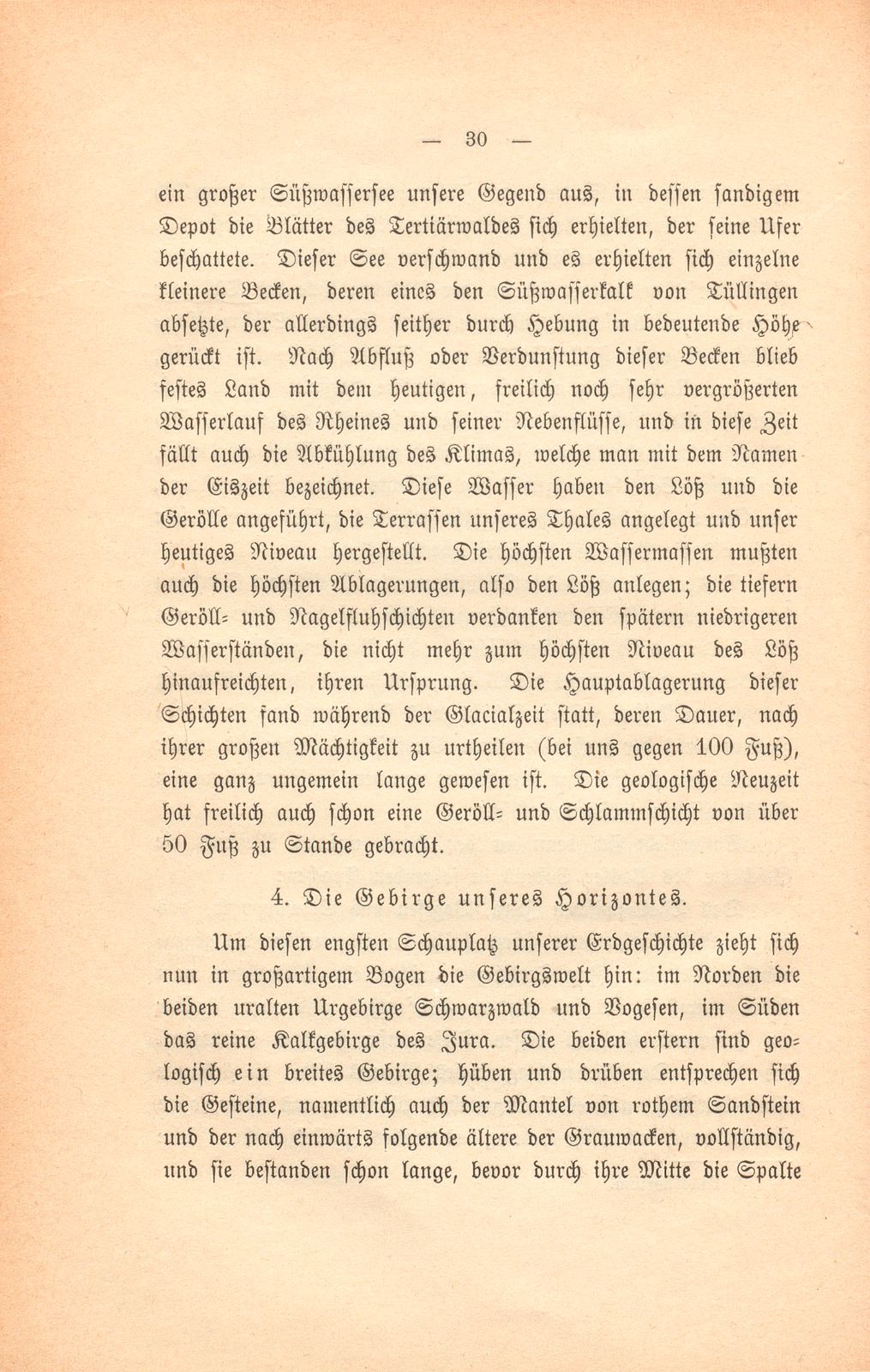 Basler Grund und Boden und was darauf wächst – Seite 11