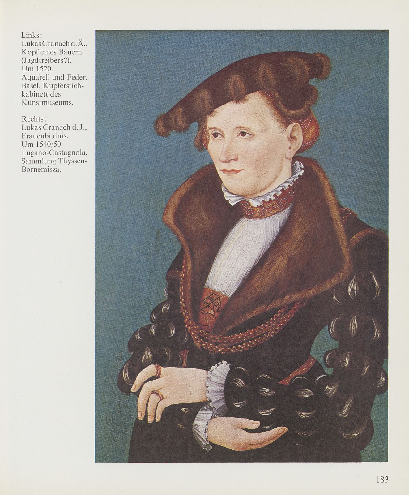 Lukas Cranach – Chronik einer Ausstellung – Seite 17