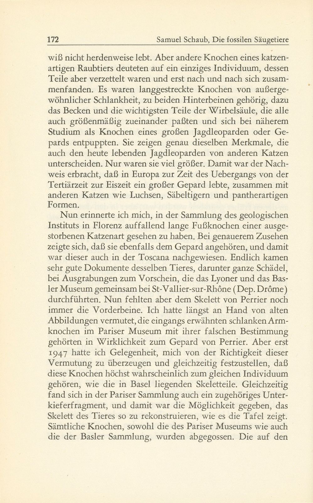 Die fossilen Säugetiere im Basler Naturhistorischen Museum – Seite 23