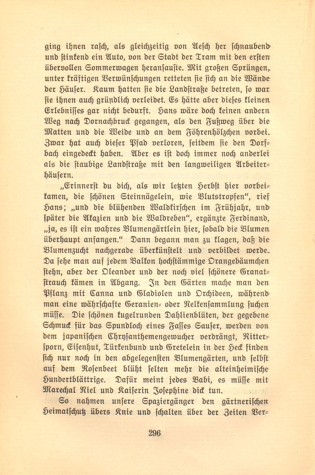 Ein Spaziergang über das Bruderholz – Seite 8