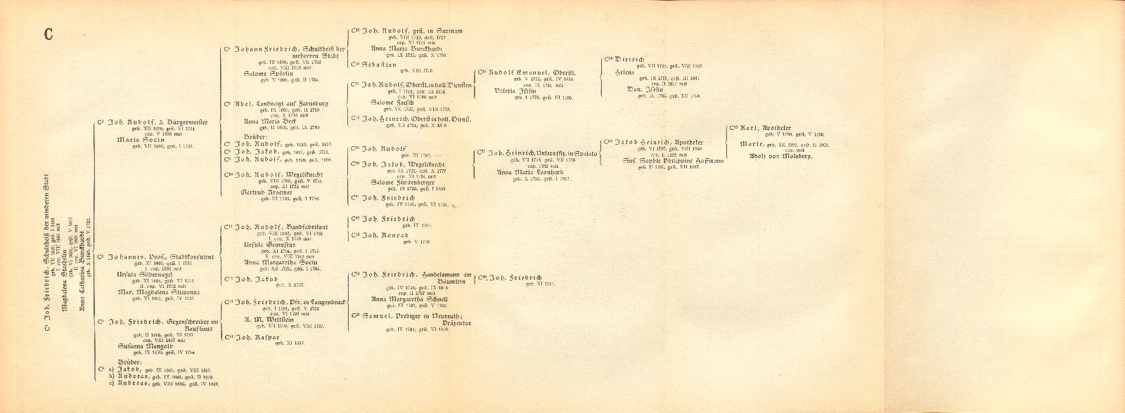 Johann Rudolf Wettstein's männliche Nachkommen in Basel – Seite 7