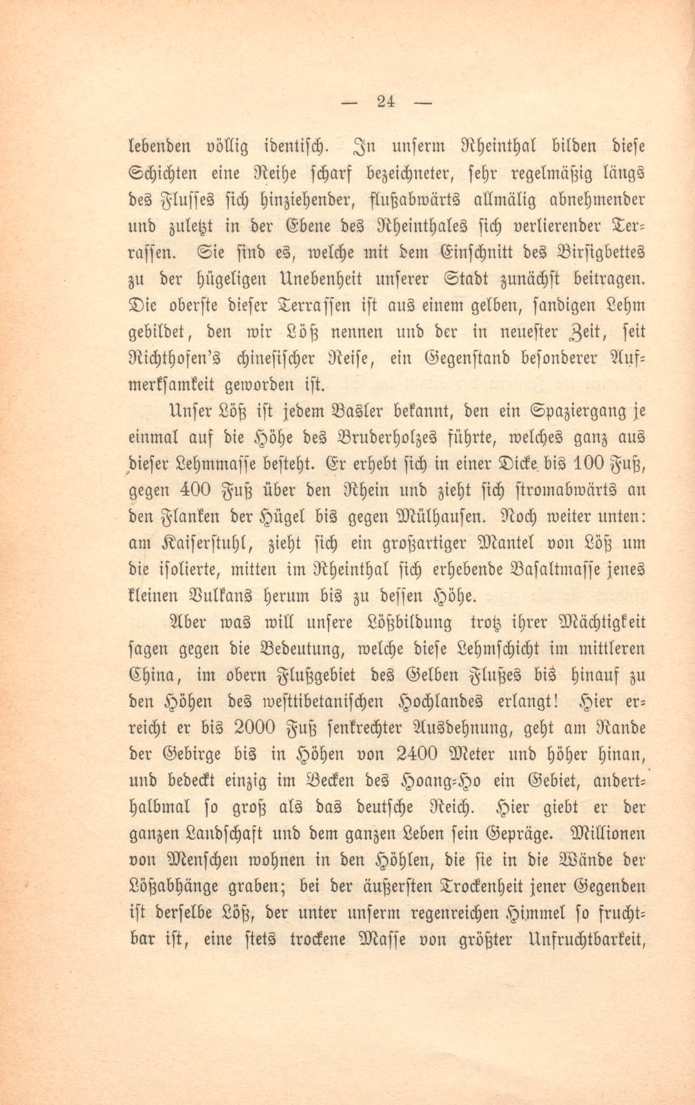 Basler Grund und Boden und was darauf wächst – Seite 5