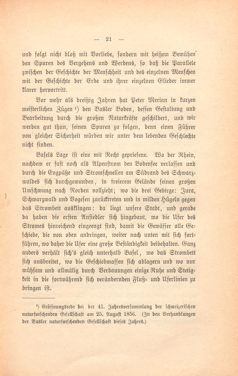 Basler Grund und Boden und was darauf wächst – Seite 2