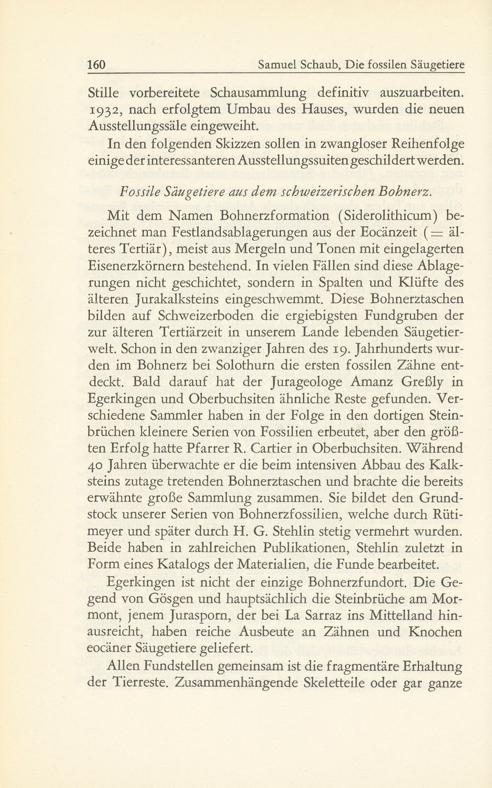 Die fossilen Säugetiere im Basler Naturhistorischen Museum – Seite 7