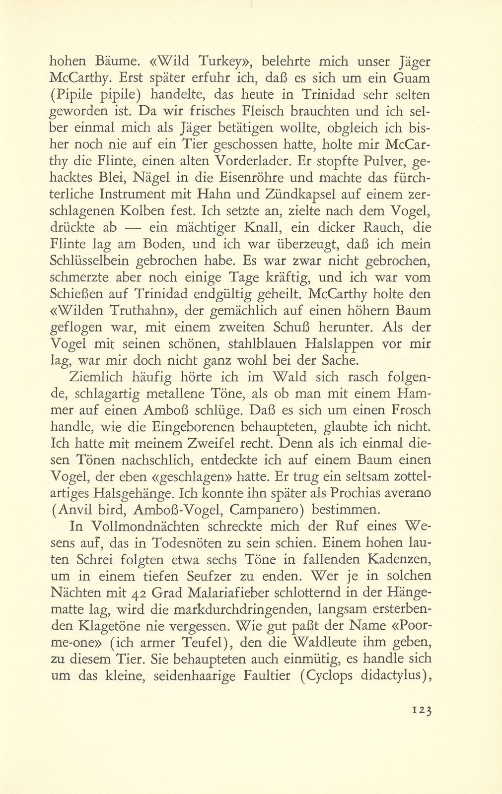 Erste Erlebnisse eines Basler Petroleumgeologen – Seite 15