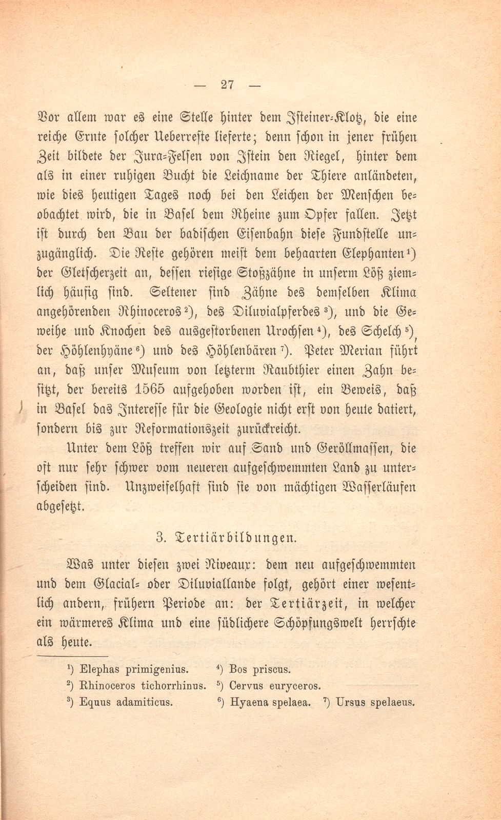 Basler Grund und Boden und was darauf wächst – Seite 8