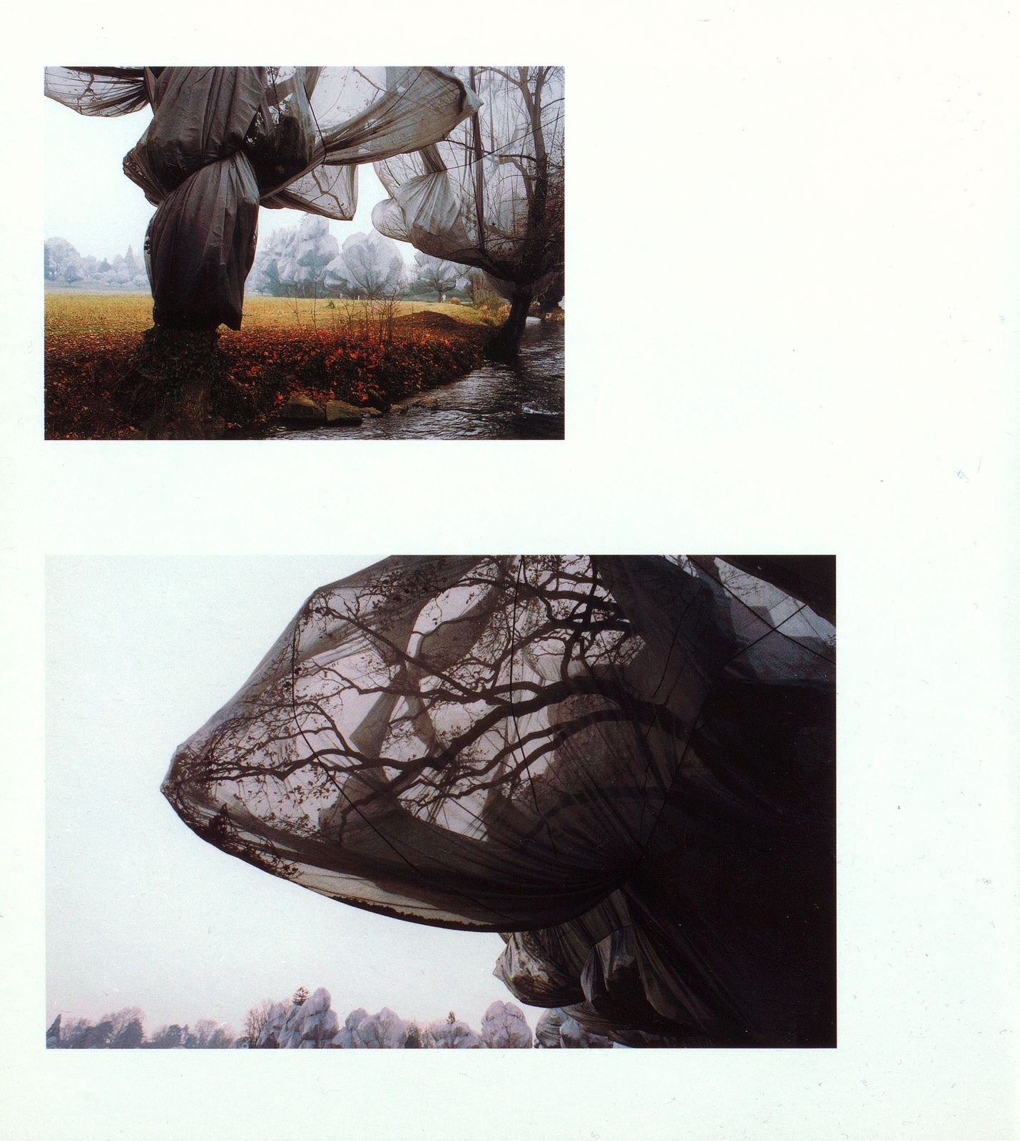 ‹Wrapped Trees› von Christo und Jeanne-Claude – Seite 4